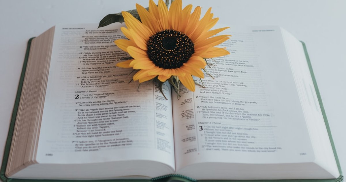 Curated reading plans & book summaries for purpose seekers