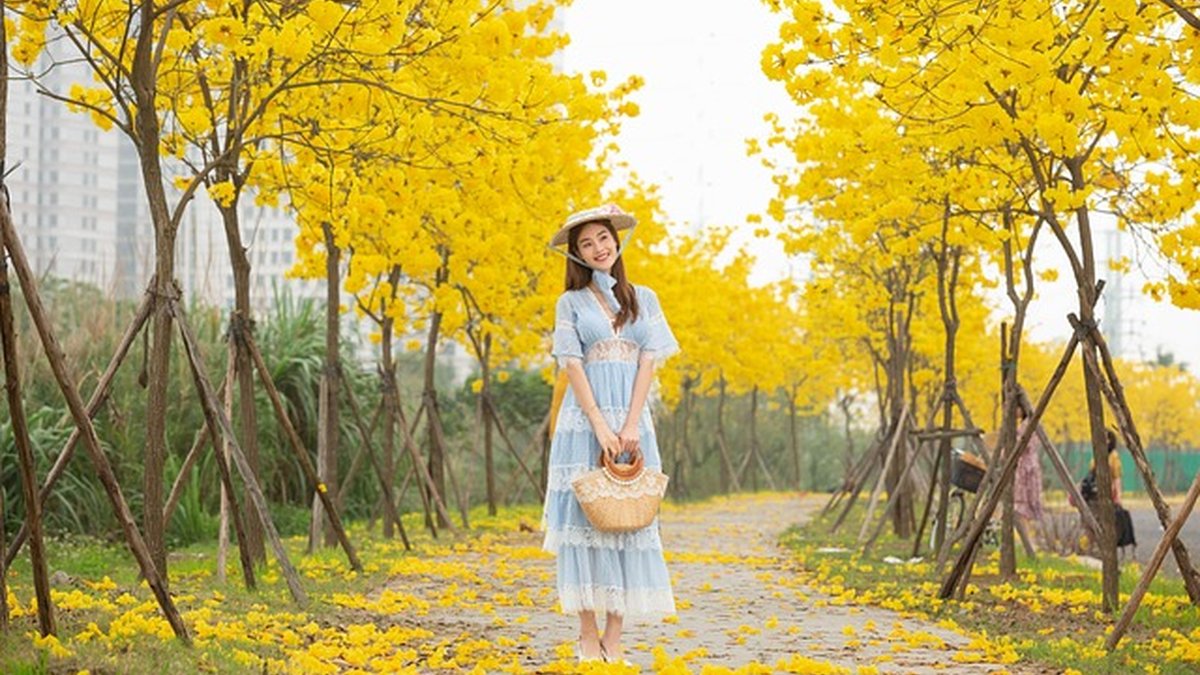 Decision-making style assessment: fast clarity, clear plan