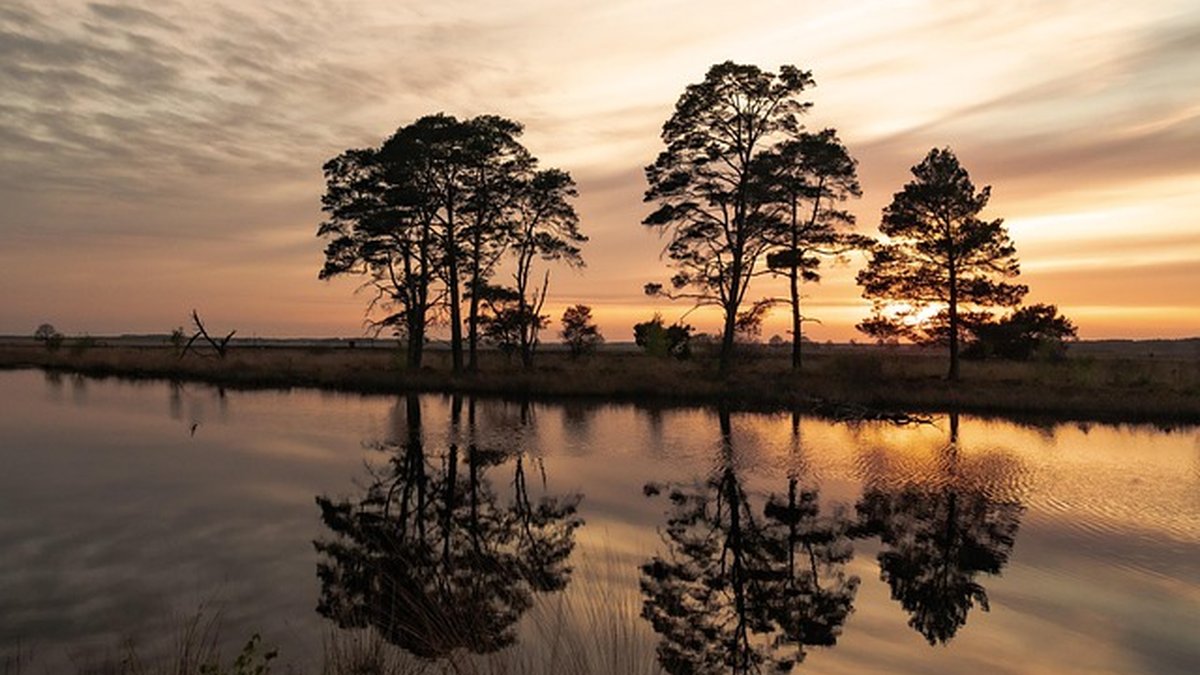 EI for healthcare providers: prevent burnout step-by-step