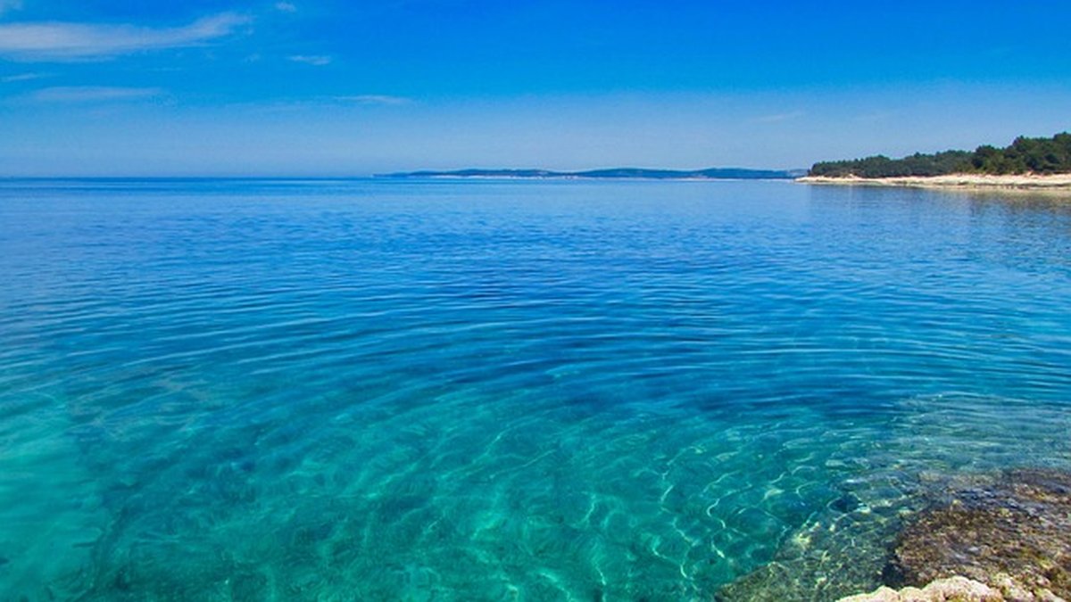 EI for teachers: classroom emotion management playbook