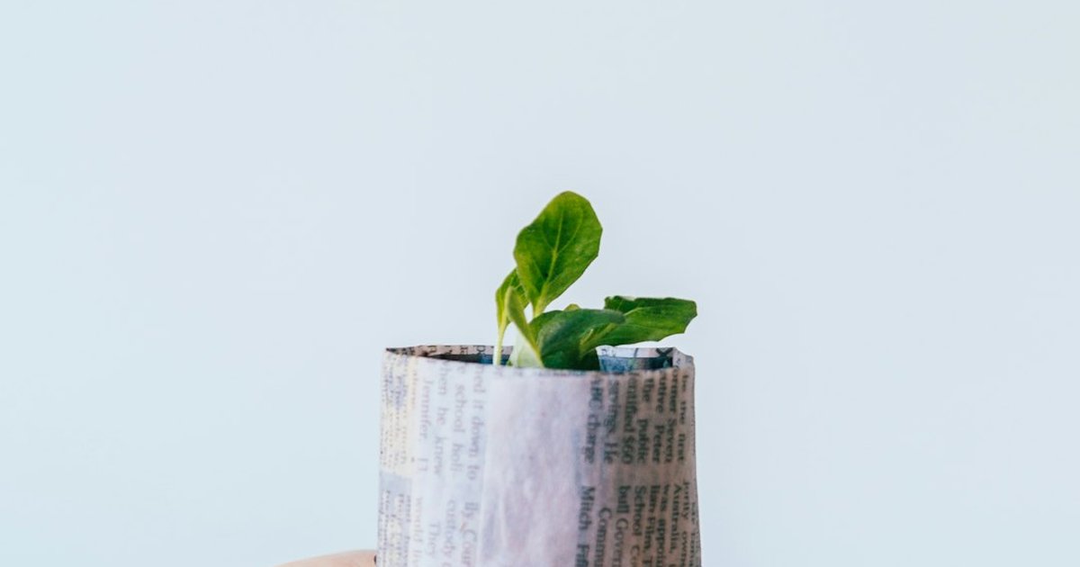 Start ethical & impact investing and build purposeful wealth