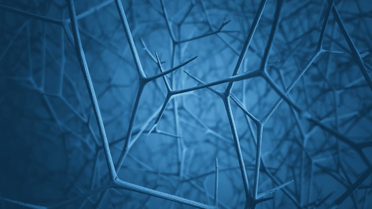 Events vs cold LinkedIn for senior ICs: which scales best?