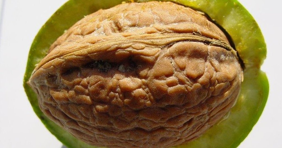 Gentle core strength for new remote graduates: 6-week plan