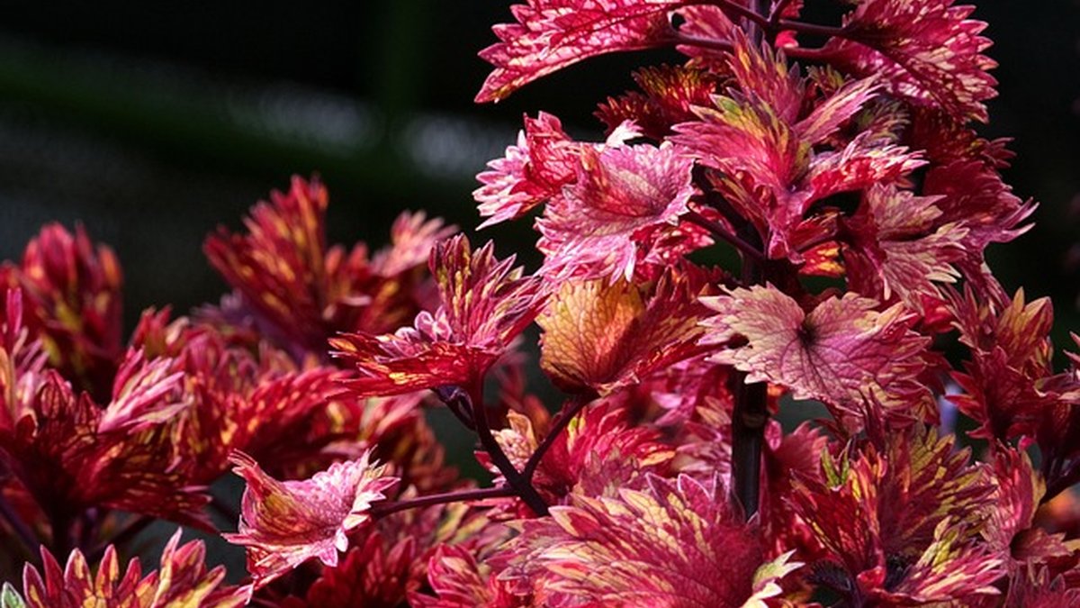 Growth mindset for sales professionals: boost conversions