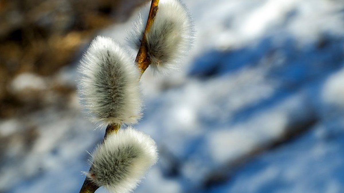 Growth mindset for STEM women: beat stereotype threat fast
