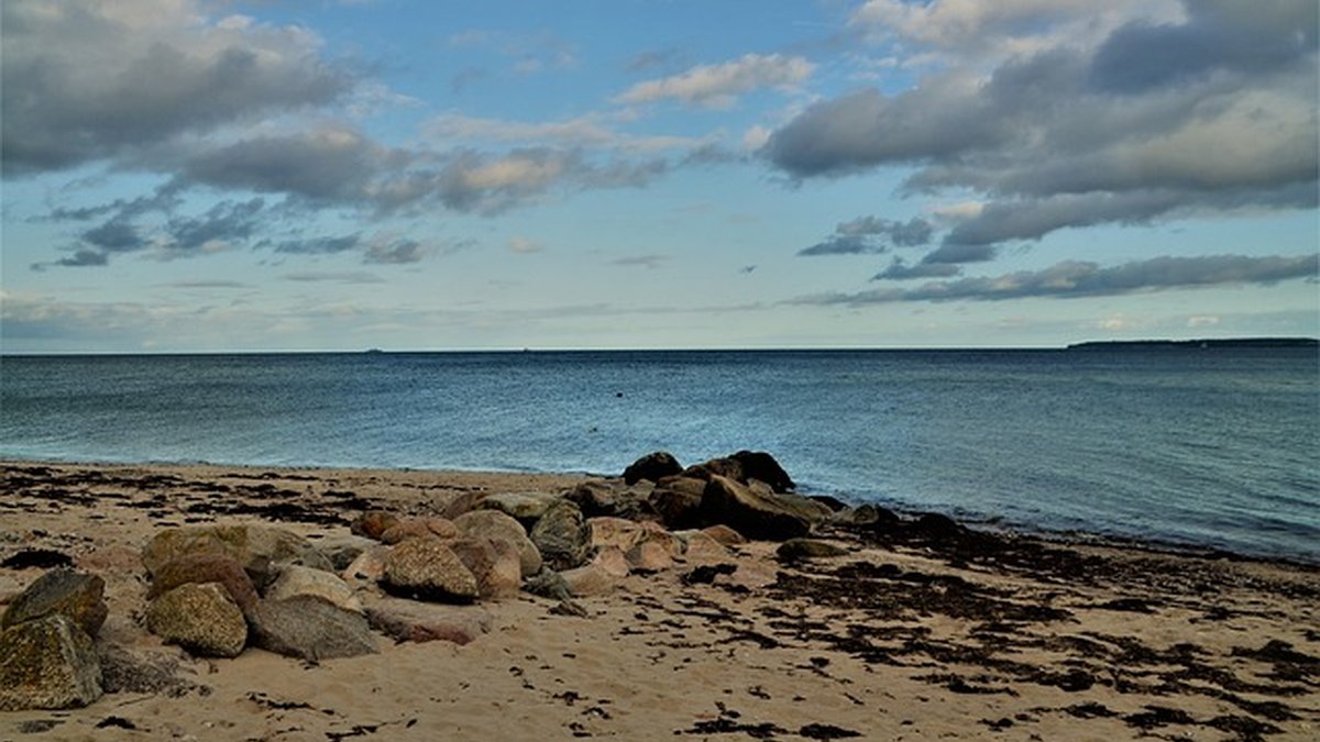 Habit protocols for mental health maintenance that stick