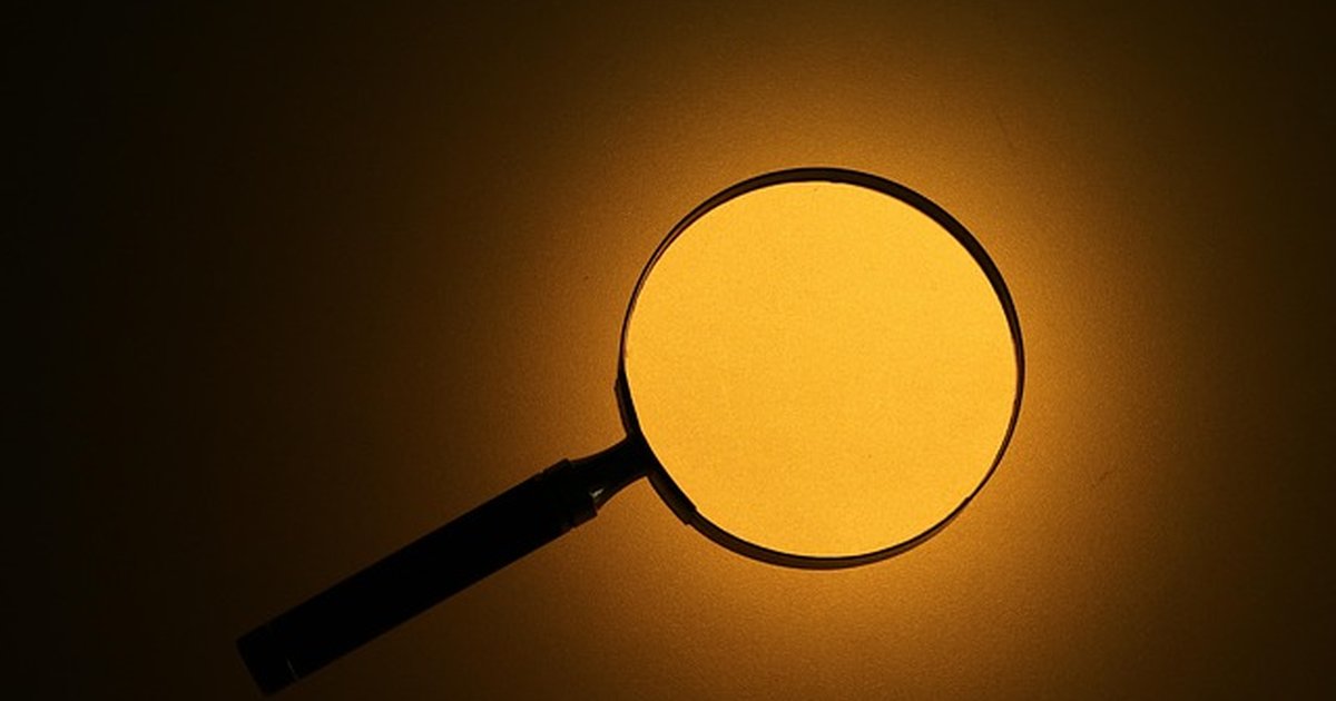 Keto vs Mediterranean for cognitive focus in knowledge work