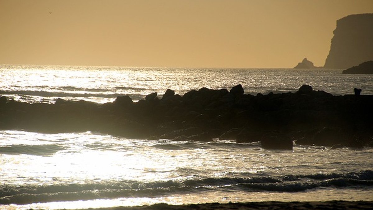 Master mindset coaching for first-time managers: proven plan