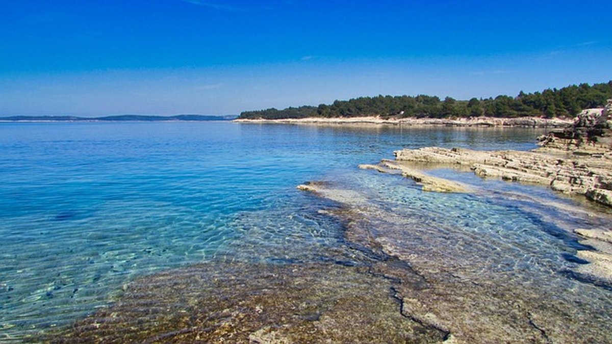 Mindset for licensure exams: adaptive strategies that work