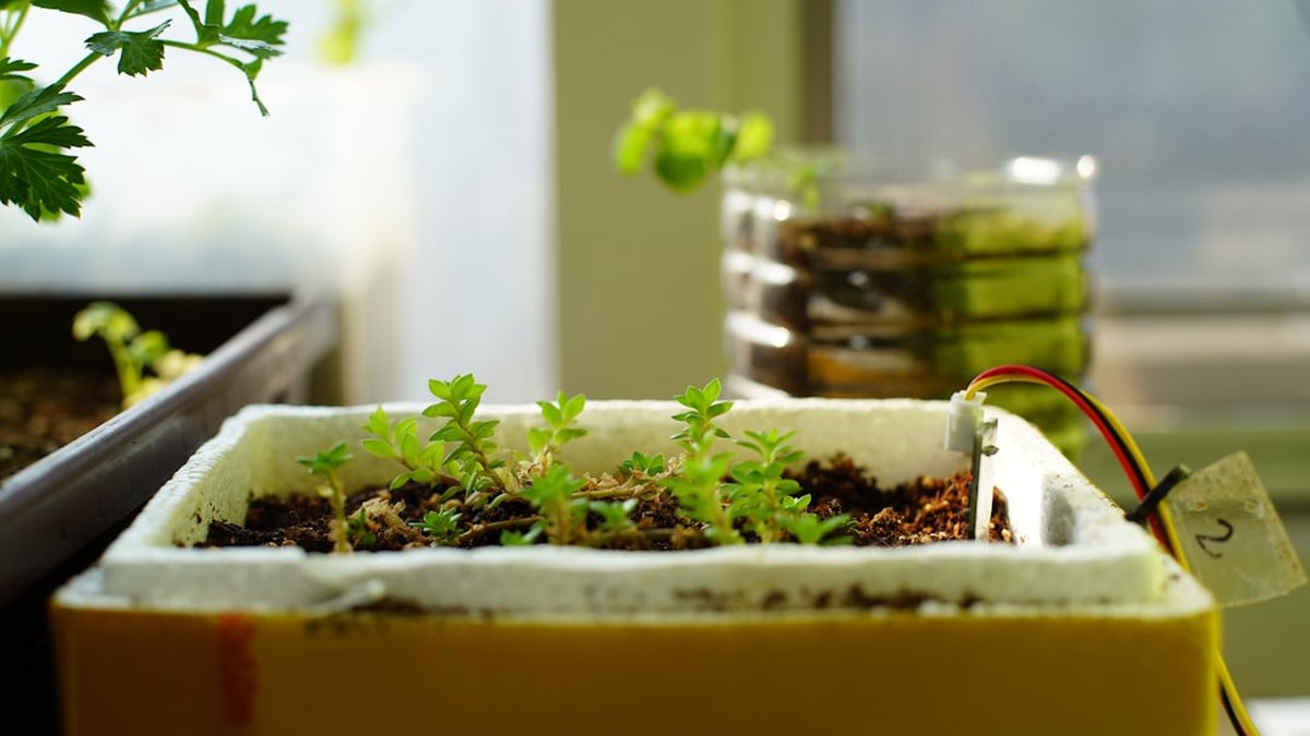 Small sustainable micro-habits that save money and planet fast